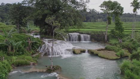 Amazing-Bendungan-Waikelo-Sawah-at-Sumba-Indonesia-between-rice-fields,-aerial