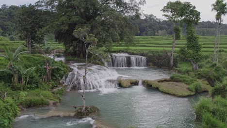 amazing bendungan waikelo sawah at sumba indonesia between rice fields, aerial