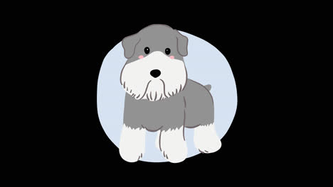 cute cartoon schnauzer