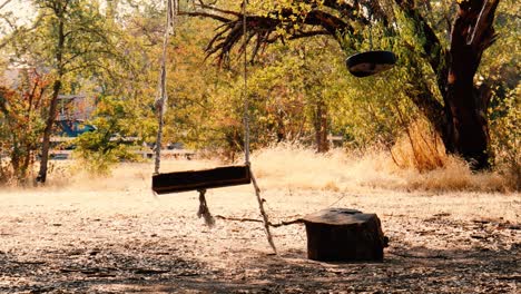 Columpio-De-Cuerda-Para-Niños-Espeluznante-Vacío-Balanceándose-En-La-Brisa-Horror