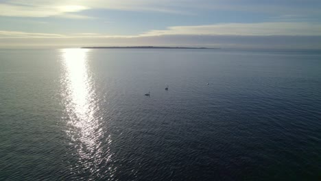 Flying-above-swans-towards-an-island