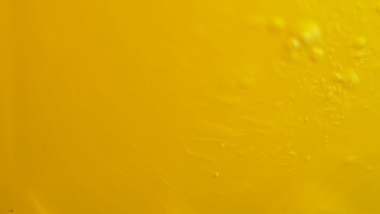 거품이 있는 노란색 액체의 클로즈업