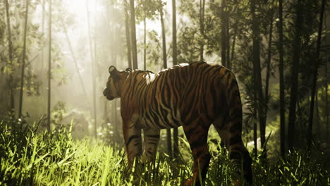 um majestoso tigre numa floresta de bambu