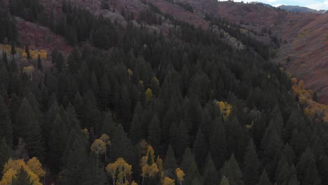 Imágenes-De-Drones-De-árboles-Coloridos-En-Las-Montañas