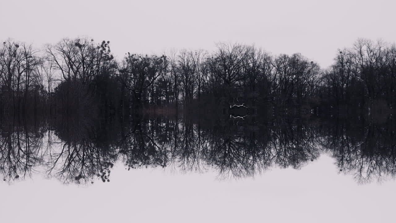Winter Forest Reflection on a Calm Lake