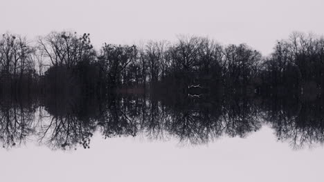 winter forest reflection on a calm lake