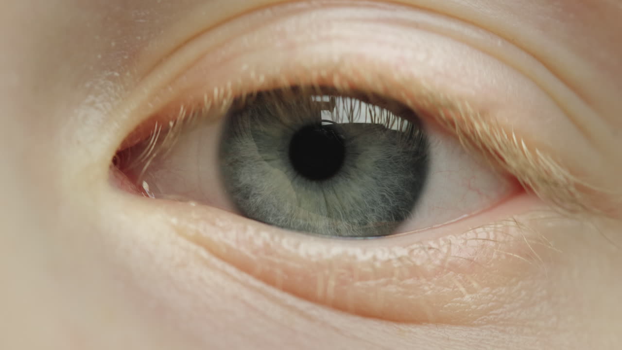 어린 소녀의 아름다운 파란 눈 1