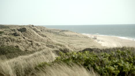 wooden piers trough the dunes of sylt with the beach and the northsea in the background 4k 60fps