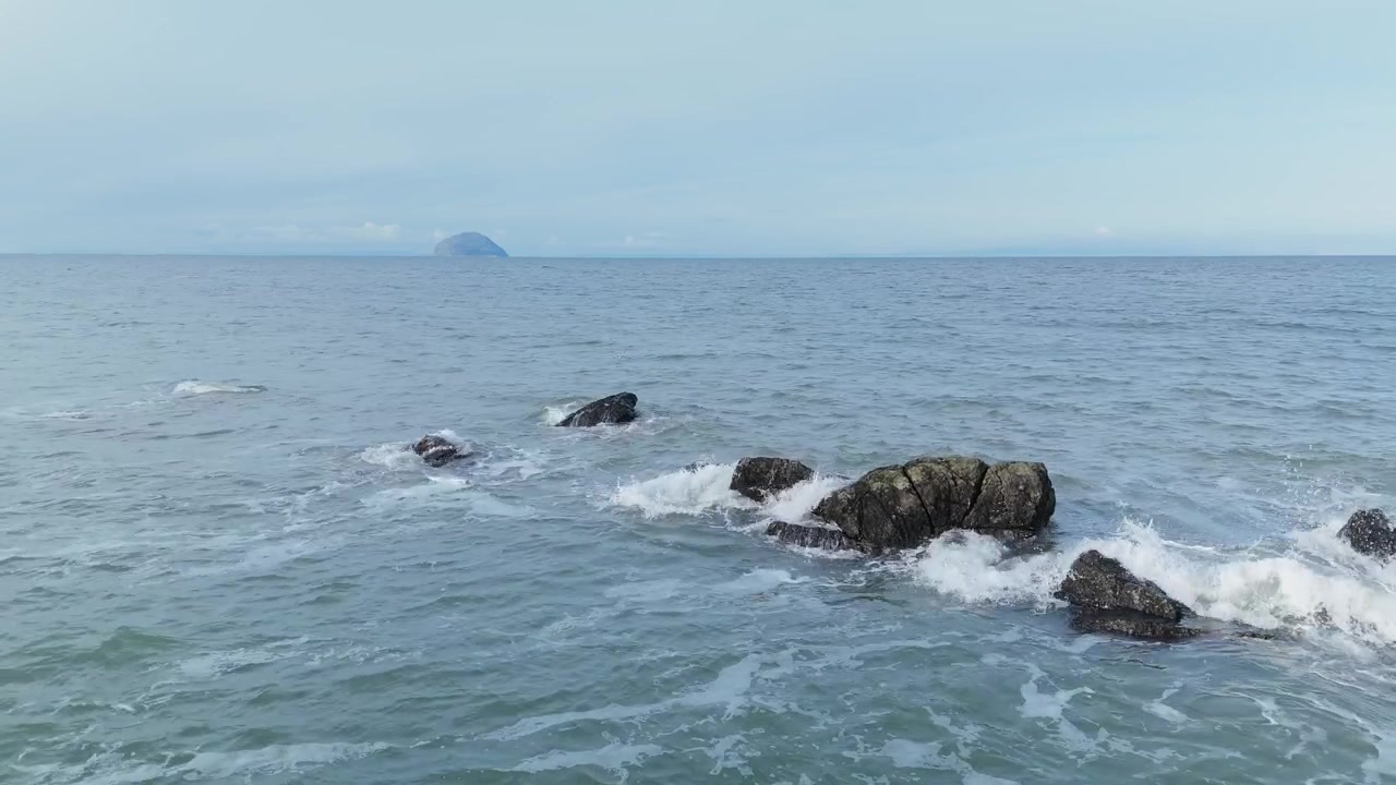 Burung Tiram bertengger di batu dengan Pulau Ailsa Craig terlihat di kejauhan