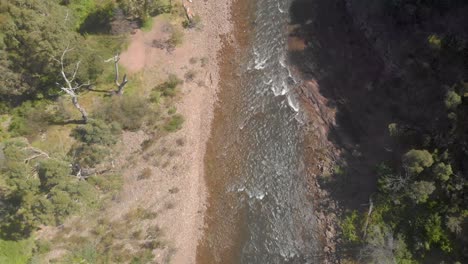 Birds-eye-view-shot-of-a-high-country-river-flowing-from-the-mountains-and-through-the-bush