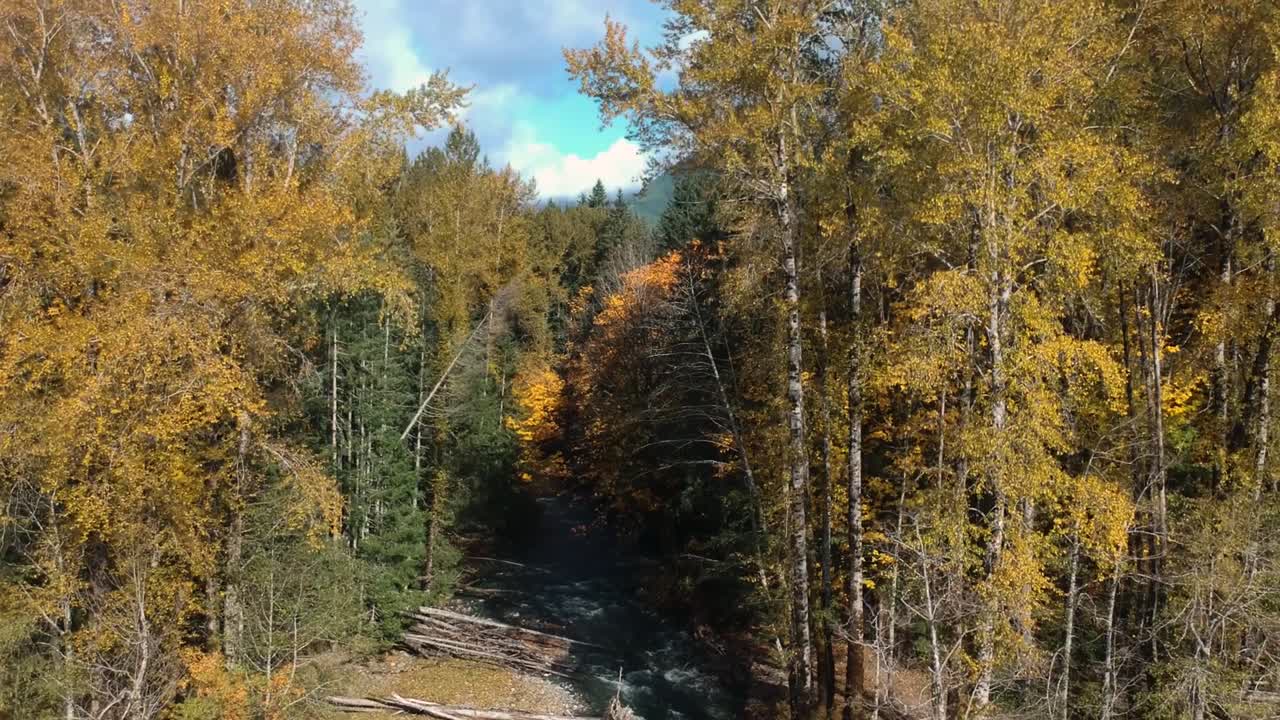 tiro de dron del río, bosque y montañas en otoño, el tiro se mueve hacia arriba para revelar montañas, valles y nubes