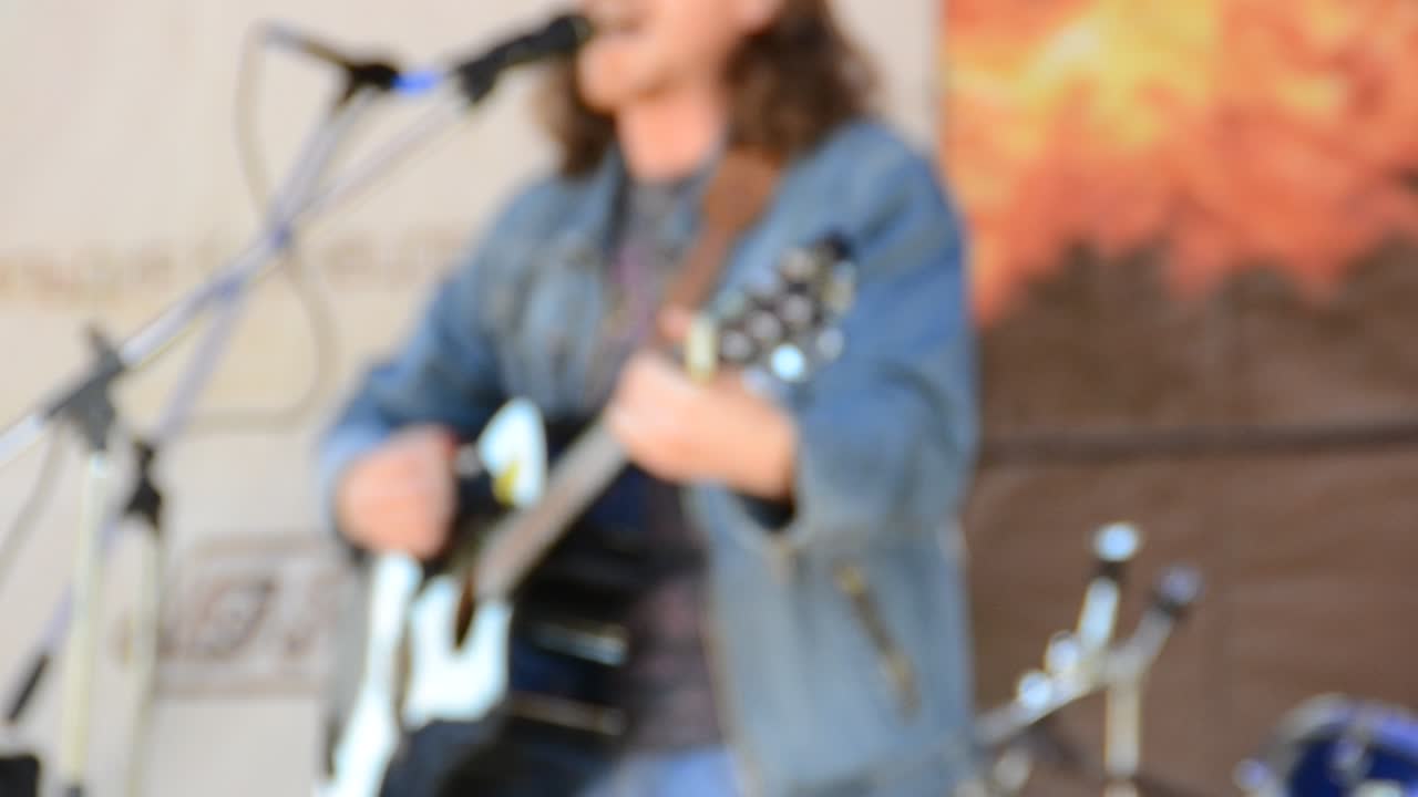 Concierto de rock. Guitarrista tocando. Festival internacional de arte de forja "Park of Forge Figures - 2011"