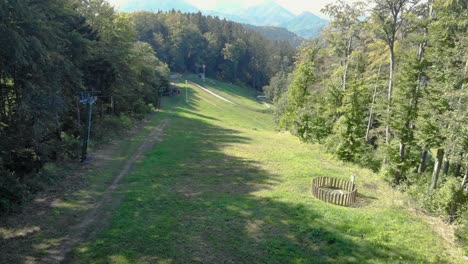 walking path between the forest and greenfield with manmade circle object in the filed