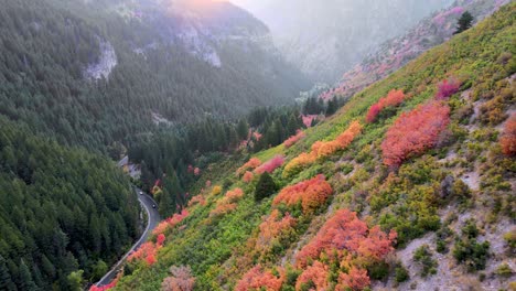 scenic alpine springtime vibrant colorful mountainside with pink, orange, yellow and red autumn leaves, colors, landscape, green trees, in dense forest by mountain edge, overhead aerial pull back