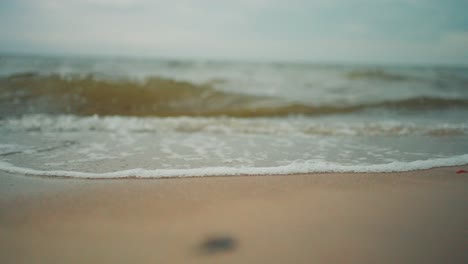 playa vacía en otoño con poca profundidad de campo en cámara lenta