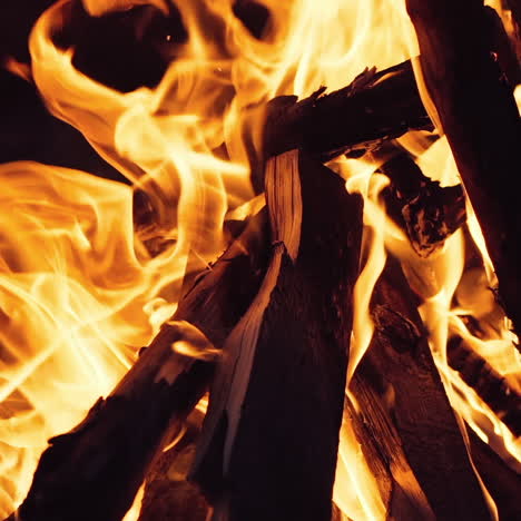 bonfire. burning logs in orange flames. beautiful fire burns brightly. slow motion
