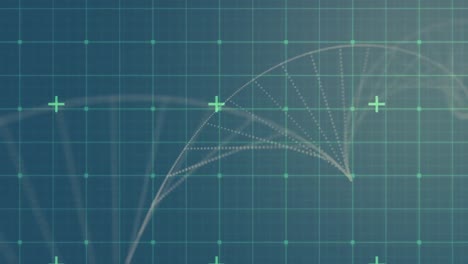 Animación-De-Una-Cadena-De-ADN-Girando-Sobre-El-Procesamiento-De-Datos-Y-La-Cuadrícula.