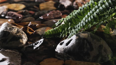 river with rocks