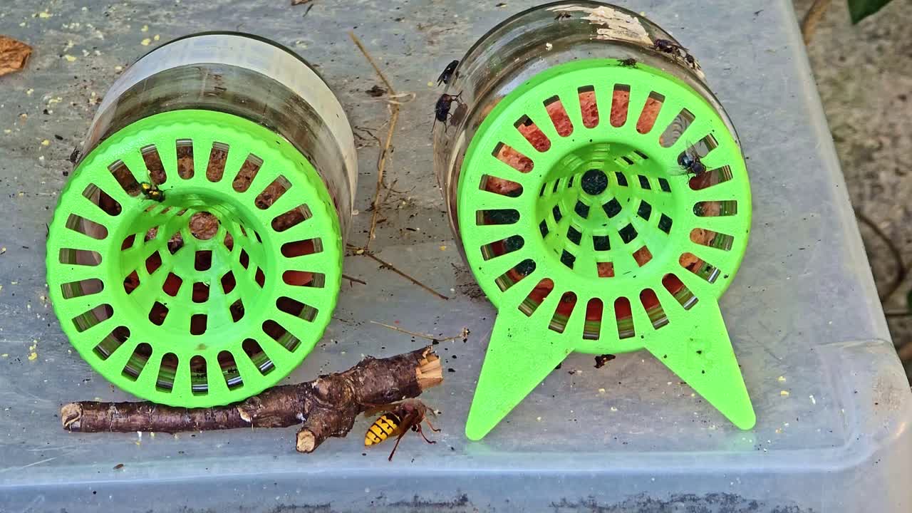 Close up of green hornet traps attracting wasps and flies outdoors