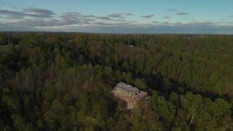 Felsen-Mitten-Im-Naturwald-Dolly-4k