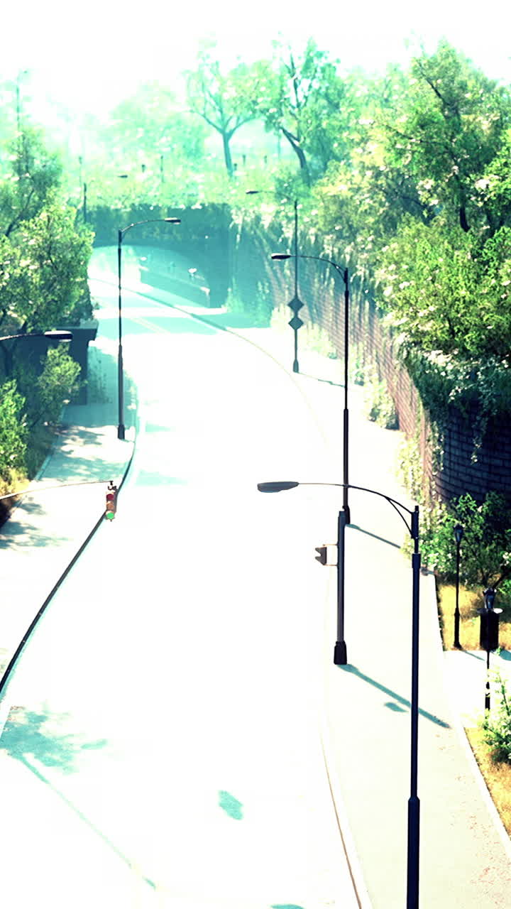 도시 거리 의 공중 에서 볼 수 있는 모습