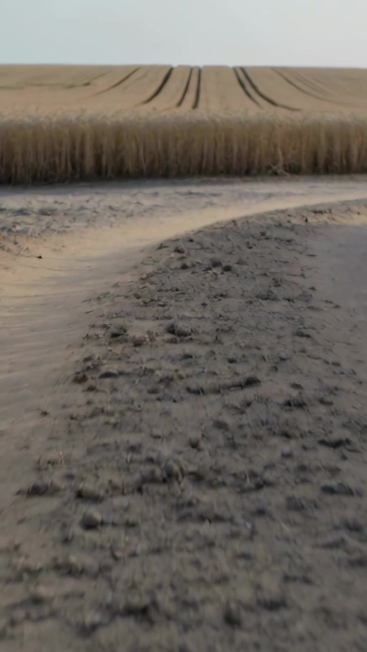 Pystysuuntainen video: Kamera vetäytyy taaksepäin, paljastaen uraisen hiekkatien vehnäpellolle ja traktorin jäljille.