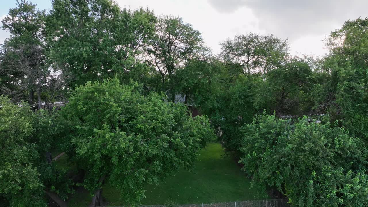 성. 루이, 미주리 대학 높이 근처 교외