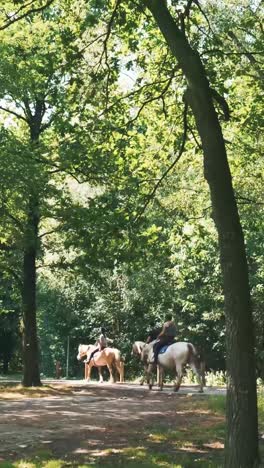 horseback riding in a forest