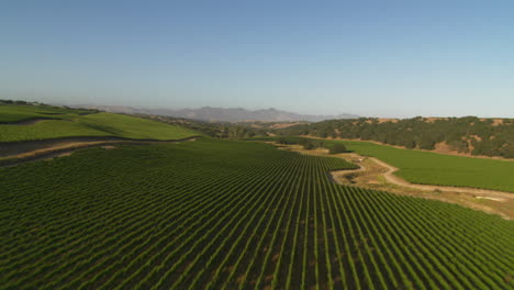 Hubschrauber-Low-Level-Antenne-Von-Santa-Barbara-County-Weinberge-Kalifornien-9