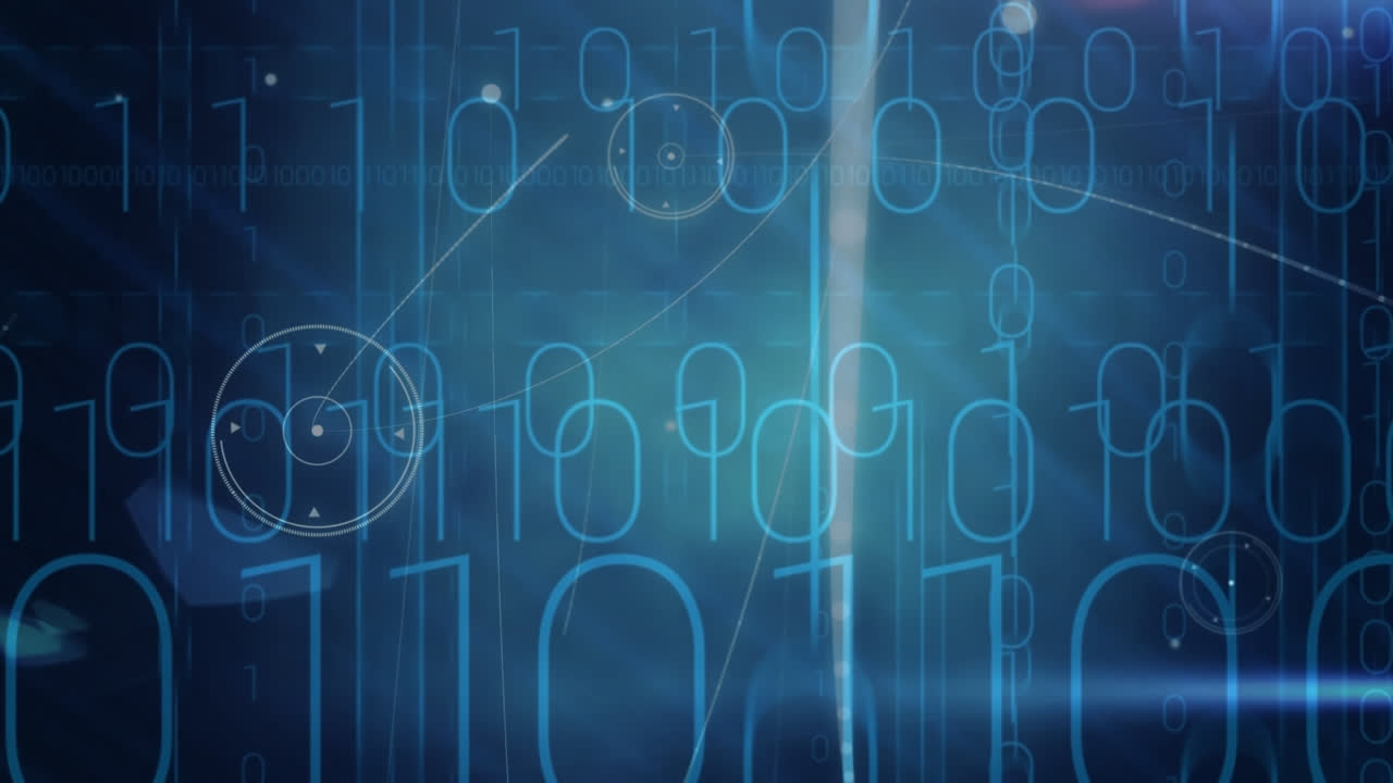 animación de la red de conexiones a través de codificación binaria