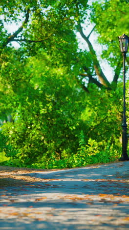 serene park pathway