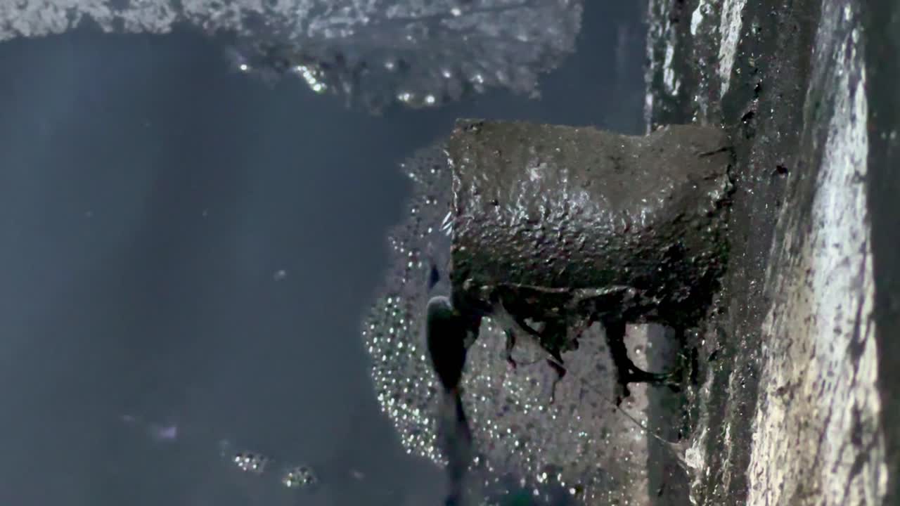 Dark chemical waste water from industrial production process coming out from the pipe flowing to the pond