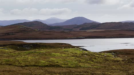 lapso de tiempo, pastoreo de ovejas, isla de lewis y harris, escocia