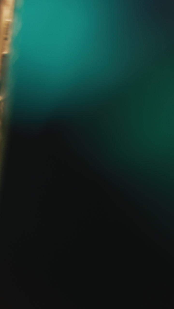 Close-up view of a metal medallion