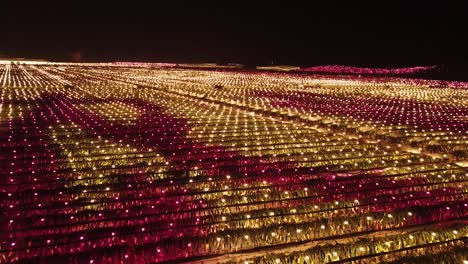 a drone flying over a lush dragon fruit farm in long'an county guangxi at night