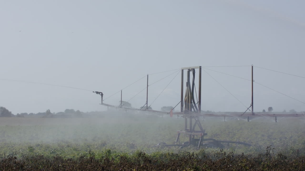 자동 관개 기계 로  ⁇  을 관개 하는 것, 정오