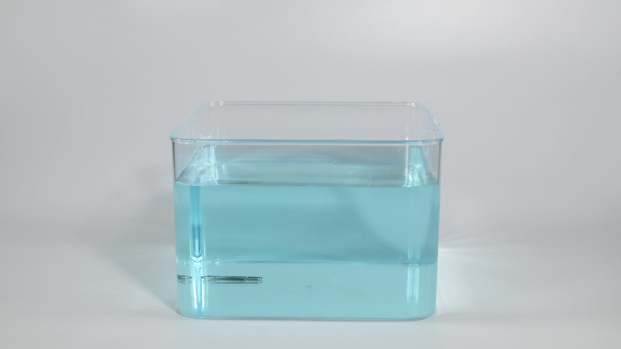 물 위에 종이 클립을 사용하여 표면 긴장 증명