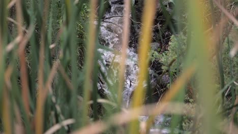 Bachwasser-Fließt-Flussabwärts-In-Einen-Fluss,-Zeitlupe