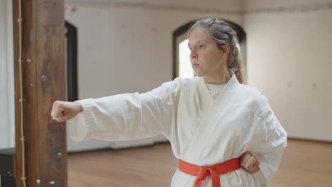 side view of serious martial artist lunging and punching in gym