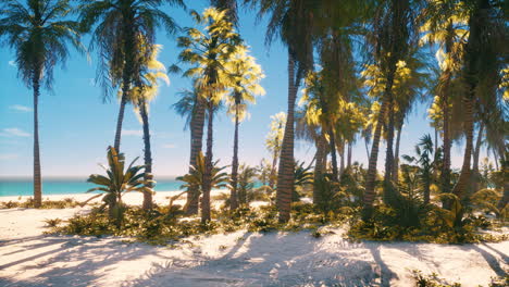 view of nice tropical beach with palms around