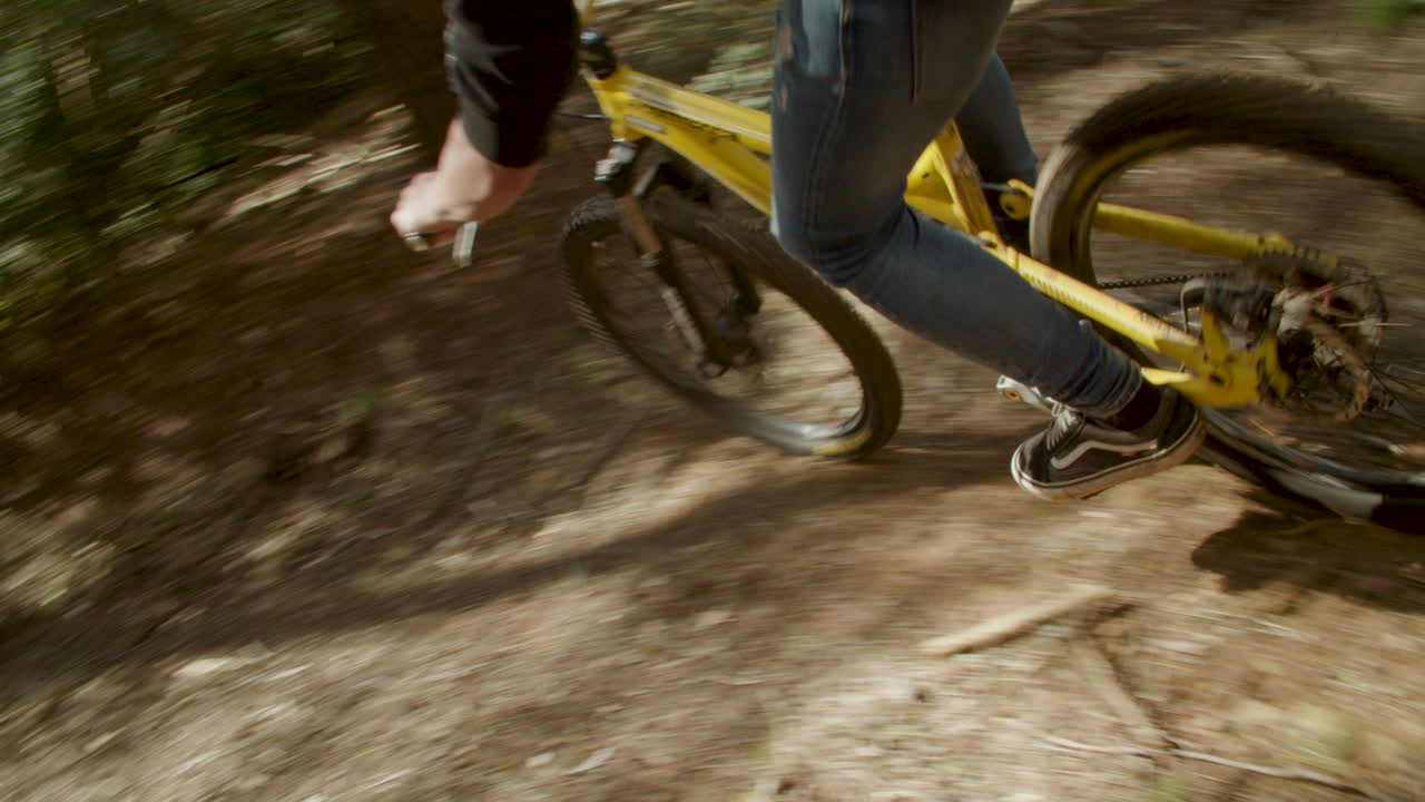 vista de tiro de seguimiento de ángulo alto del ciclista cuesta abajo seguido por su perro, slomo, día