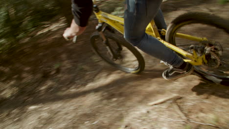 high angle tracking shot view of downhill biker followed by his dog, slomo, day