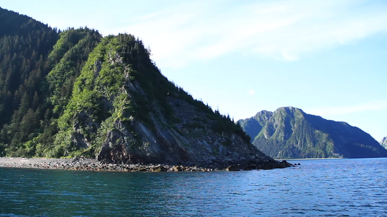 새들은 알래스카의 녹색 섬을 지나 날아갑니다.