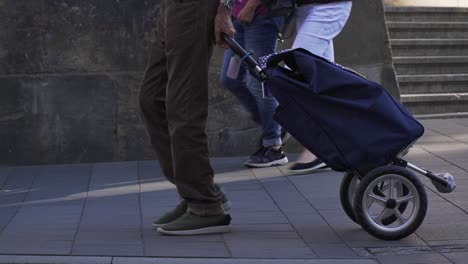 old man walking with a trolly all of groceries