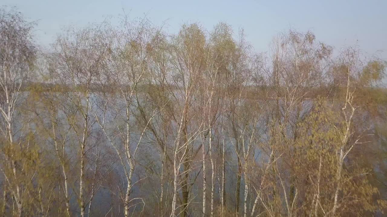 volar sobre los árboles yendo al lago imágenes de drones en 30 fps