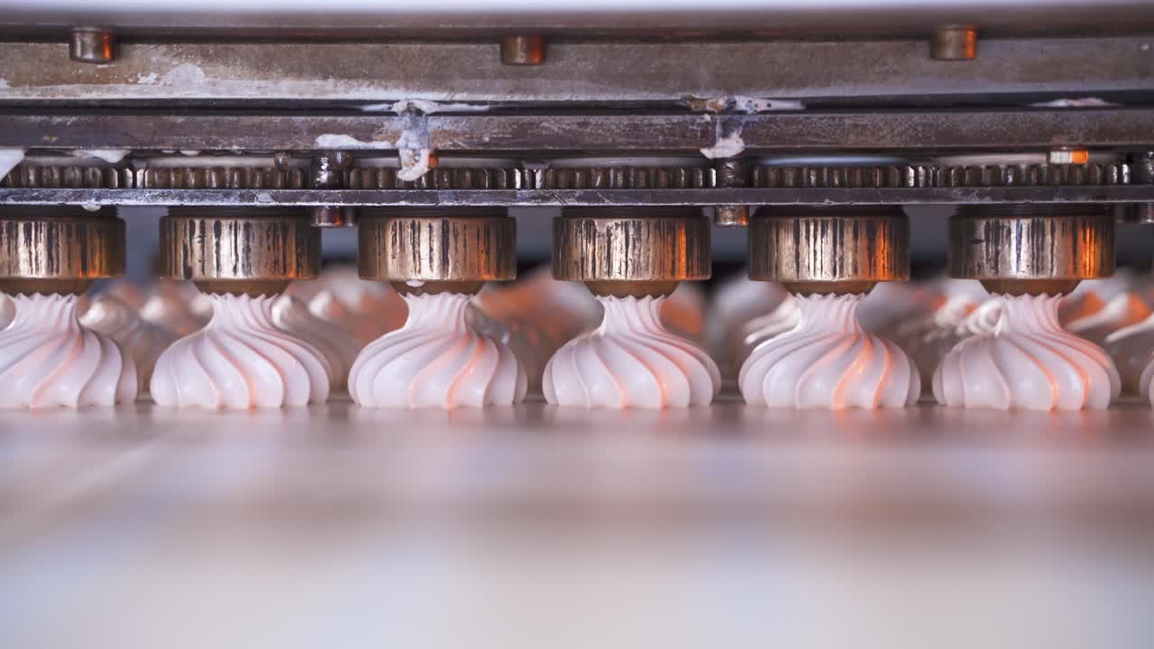 Automatic line for the production of marshmallows. Device for forming sweet confectionery products. Food factory concept