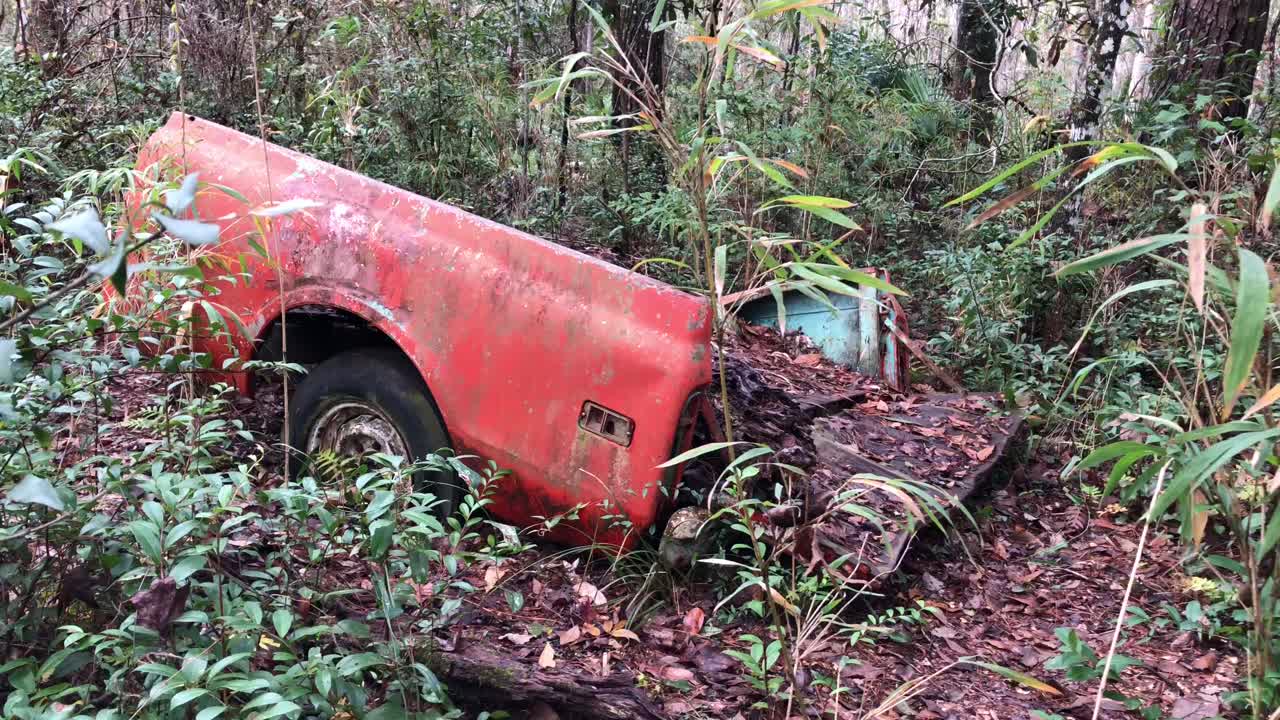 숲에 버려진 자동차 사고