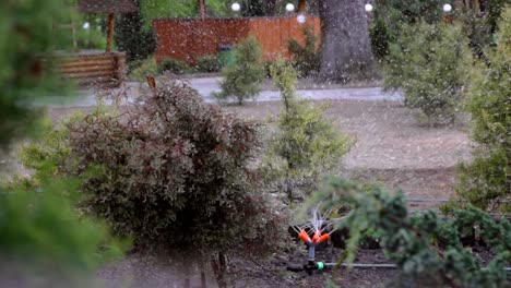 Rociador-Automático-Salpica-Agua-Alrededor-De-Arbustos-Verdes-En-El-Patio-En-Verano