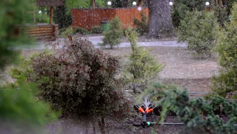 rociador automático salpica agua alrededor de los arbustos verdes en el patio en verano