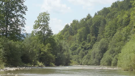 Riverbed-in-mountain-landscape,-untouched-nature,-abundant-vegetation